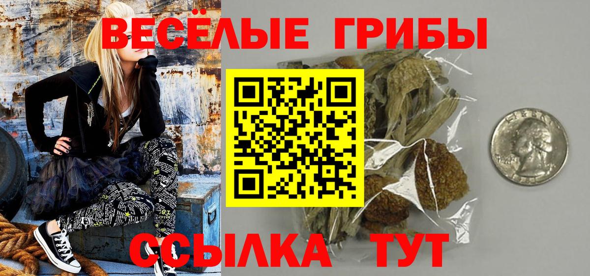 Алексеевка  Псилоцибиновые грибы GOLDEN TEACHER  Вход с VPN  Галлюциногенные грибы GOLDEN TEACHER 